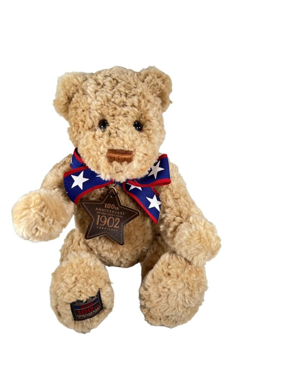 Gund 2002 100 Year Teddy Bear Anniversary Wish Bear 10” Victorian American Tags